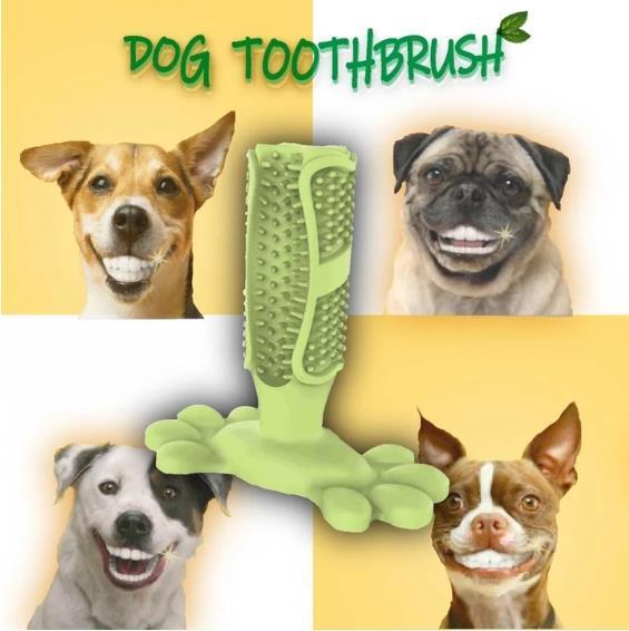 Dog tooth brush