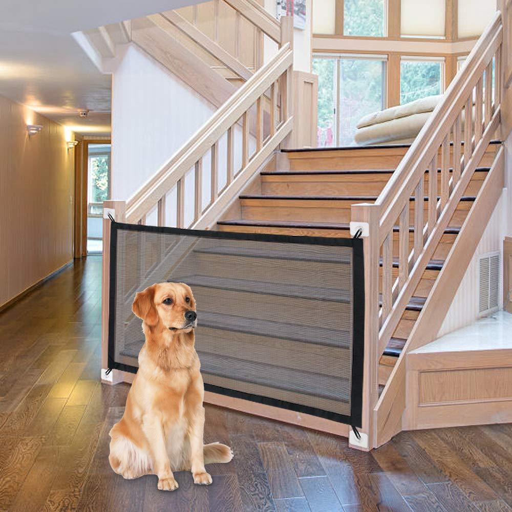 Modern Safety Door