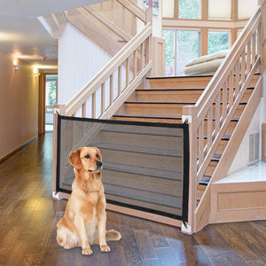 Modern Safety Door