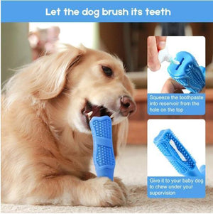 Dog tooth brush